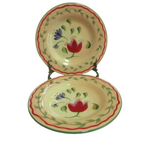 PFALTZGRAFF NAPOLI SET of 2 Hand Painted 9'' Plates Stoneware Salad Dessert EUC